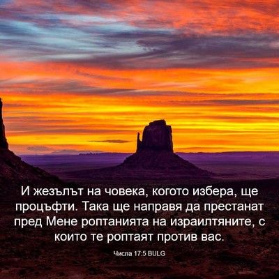 Picture 03 - Числа 17:5 BULG - И жезълът на човека, когото - Bible Verse Picture