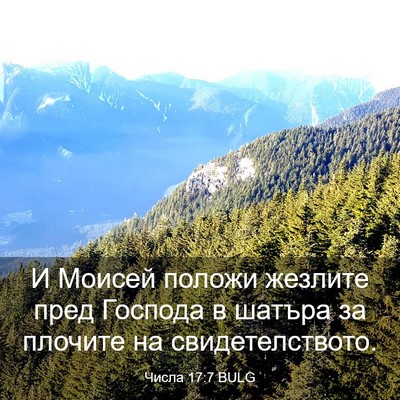 Picture 03 - Числа 17:7 BULG - И Моисей положи жезлите - Bible Verse Picture