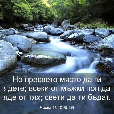 Picture 03 - Числа 18:10 BULG - Но пресвето място да ги - Bible Verse Picture