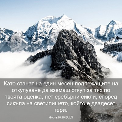 Picture 03 - Числа 18:16 BULG - Като станат на един месец - Bible Verse Picture