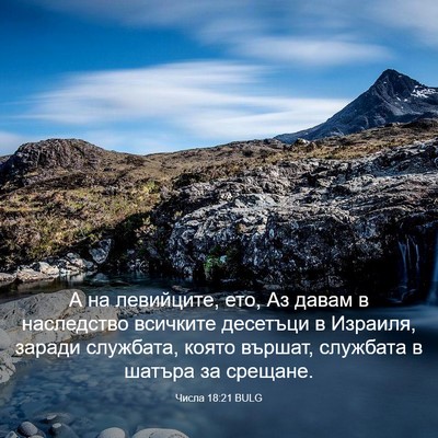 Picture 03 - Числа 18:21 BULG - А на левийците, ето, Аз - Bible Verse Picture
