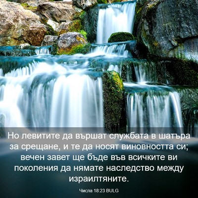 Picture 03 - Числа 18:23 BULG - Но левитите да вършат - Bible Verse Picture
