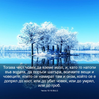 Picture 03 - Числа 19:18 BULG - Тогава чист човек да вземе - Bible Verse Picture