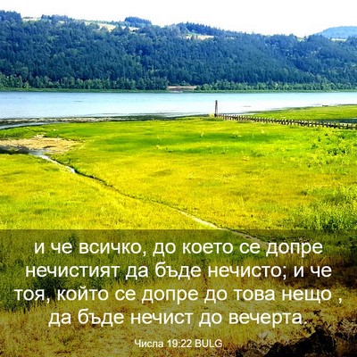 Picture 03 - Числа 19:22 BULG - и че всичко, до което се - Bible Verse Picture