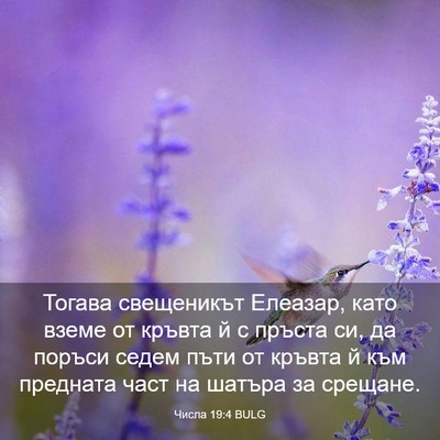 Picture 03 - Числа 19:4 BULG - Тогава свещеникът Елеазар, - Bible Verse Picture