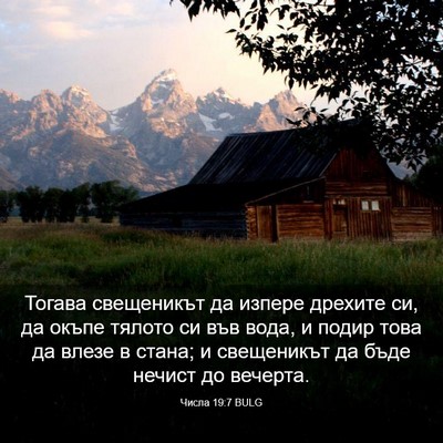 Picture 03 - Числа 19:7 BULG - Тогава свещеникът да - Bible Verse Picture
