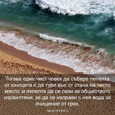 Picture 03 - Числа 19:9 BULG - Тогава един чист човек да - Bible Verse Picture
