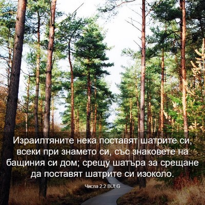 Picture 03 - Числа 2:2 BULG - Израилтяните нека - Bible Verse Picture
