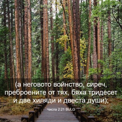 Picture 03 - Числа 2:21 BULG - (а неговото войнство, - Bible Verse Picture