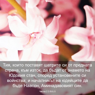 Picture 03 - Числа 2:3 BULG - Тия, които поставят - Bible Verse Picture