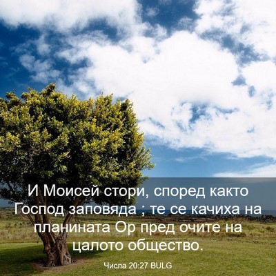 Picture 03 - Числа 20:27 BULG - И Моисей стори, според - Bible Verse Picture