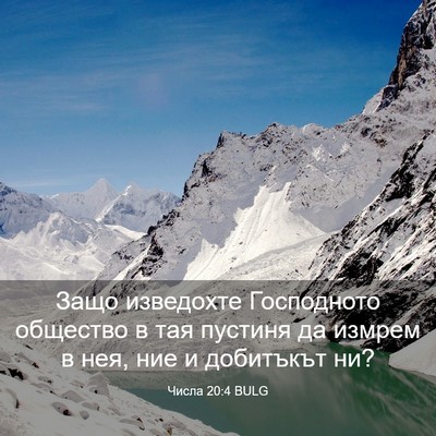 Picture 03 - Числа 20:4 BULG - Защо изведохте Господното - Bible Verse Picture