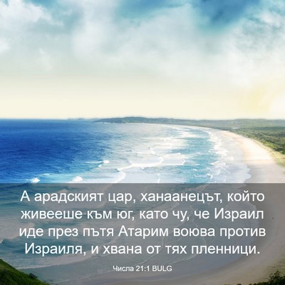 Picture 03 - Числа 21:1 BULG - А арадският цар, - Bible Verse Picture
