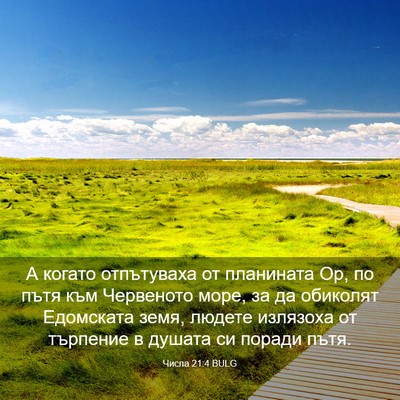 Picture 03 - Числа 21:4 BULG - А когато отпътуваха от - Bible Verse Picture