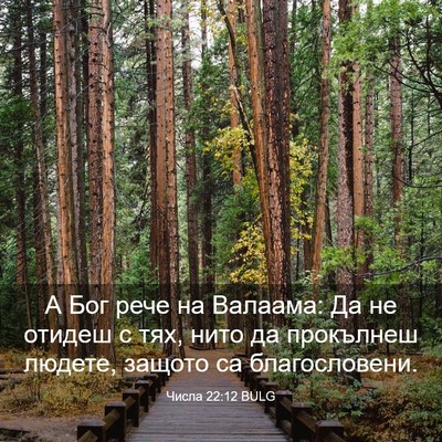 Picture 03 - Числа 22:12 BULG - А Бог рече на Валаама: Да не - Bible Verse Picture