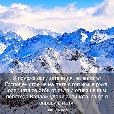 Picture 03 - Числа 22:23 BULG - И понеже ослицата видя, че - Bible Verse Picture
