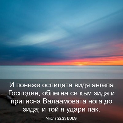 Picture 03 - Числа 22:25 BULG - И понеже ослицата видя - Bible Verse Picture