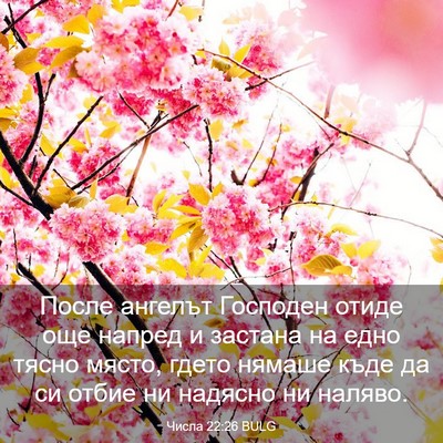 Picture 03 - Числа 22:26 BULG - После ангелът Господен - Bible Verse Picture
