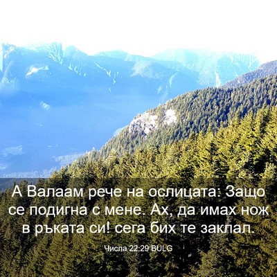 Picture 03 - Числа 22:29 BULG - А Валаам рече на ослицата: - Bible Verse Picture