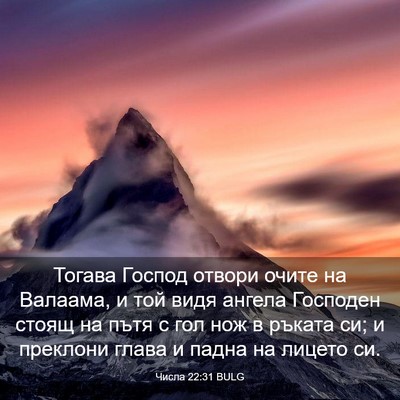 Picture 03 - Числа 22:31 BULG - Тогава Господ отвори очите - Bible Verse Picture