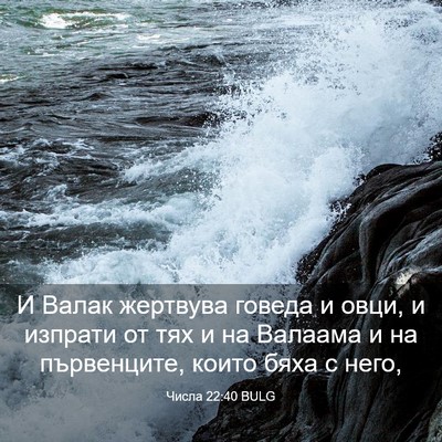 Picture 03 - Числа 22:40 BULG - И Валак жертвува говеда и - Bible Verse Picture