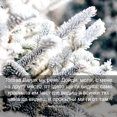 Picture 03 - Числа 23:13 BULG - Тогава Валак му рече: - Bible Verse Picture