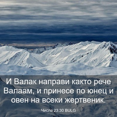 Picture 03 - Числа 23:30 BULG - И Валак направи както рече - Bible Verse Picture