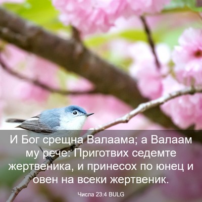 Picture 03 - Числа 23:4 BULG - И Бог срещна Валаама; а - Bible Verse Picture