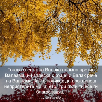 Picture 03 - Числа 24:10 BULG - Тогава гневът на Валака - Bible Verse Picture