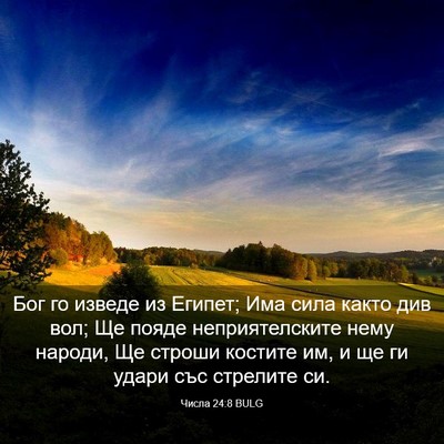 Picture 03 - Числа 24:8 BULG - Бог го изведе из Египет; - Bible Verse Picture