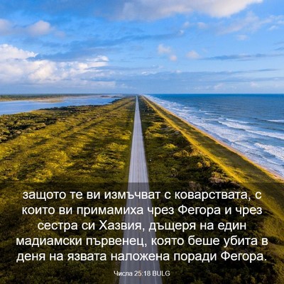 Picture 03 - Числа 25:18 BULG - защото те ви измъчват с - Bible Verse Picture
