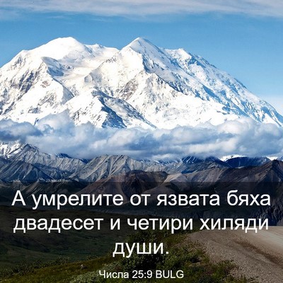 Picture 03 - Числа 25:9 BULG - А умрелите от язвата бяха - Bible Verse Picture