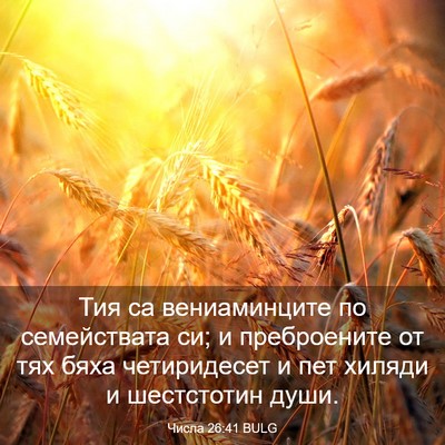 Picture 03 - Числа 26:41 BULG - Тия са вениаминците по - Bible Verse Picture
