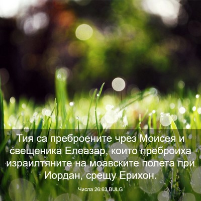 Picture 03 - Числа 26:63 BULG - Тия са преброените чрез - Bible Verse Picture