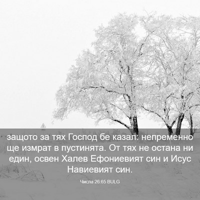 Picture 03 - Числа 26:65 BULG - защото за тях Господ бе - Bible Verse Picture