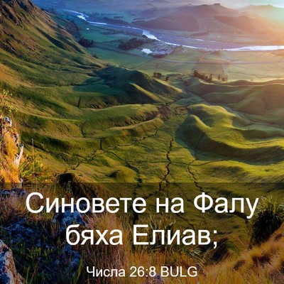 Picture 03 - Числа 26:8 BULG - Синовете на Фалу бяха - Bible Verse Picture