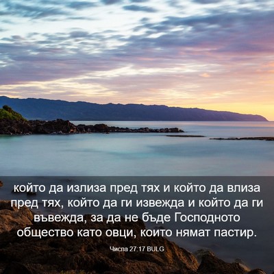 Picture 03 - Числа 27:17 BULG - който да излиза пред тях и - Bible Verse Picture