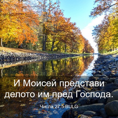 Picture 03 - Числа 27:5 BULG - И Моисей представи делото - Bible Verse Picture