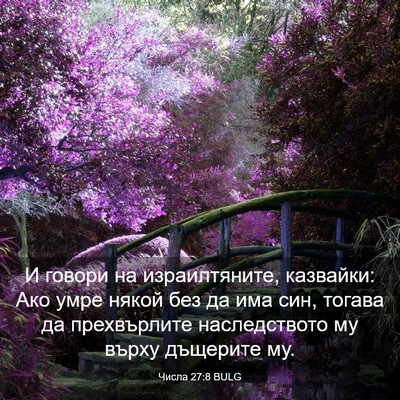 Picture 03 - Числа 27:8 BULG - И говори на израилтяните, - Bible Verse Picture
