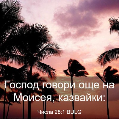 Picture 03 - Числа 28:1 BULG - Господ говори още на - Bible Verse Picture