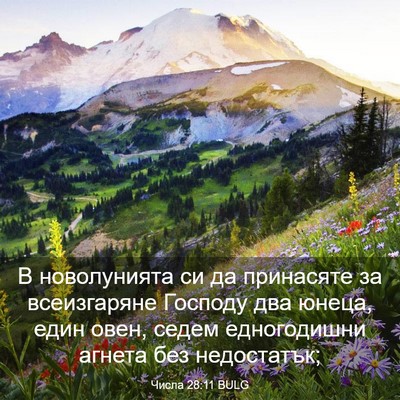 Picture 03 - Числа 28:11 BULG - В новолунията си да - Bible Verse Picture