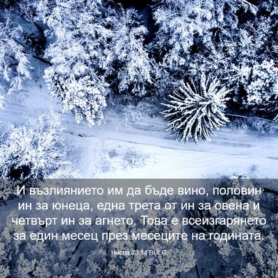 Picture 03 - Числа 28:14 BULG - И възлиянието им да бъде - Bible Verse Picture
