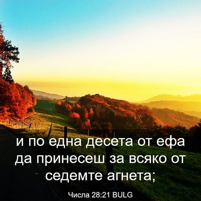 Picture 03 - Числа 28:21 BULG - и по една десета от ефа да - Bible Verse Picture