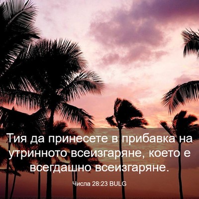 Picture 03 - Числа 28:23 BULG - Тия да принесете в - Bible Verse Picture