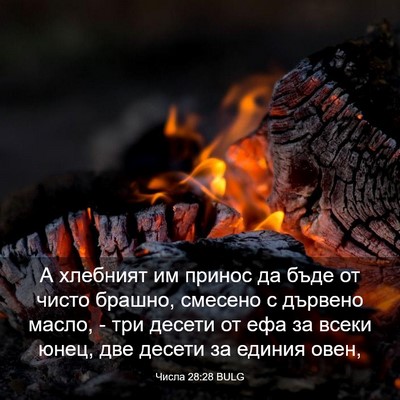 Picture 03 - Числа 28:28 BULG - А хлебният им принос да - Bible Verse Picture