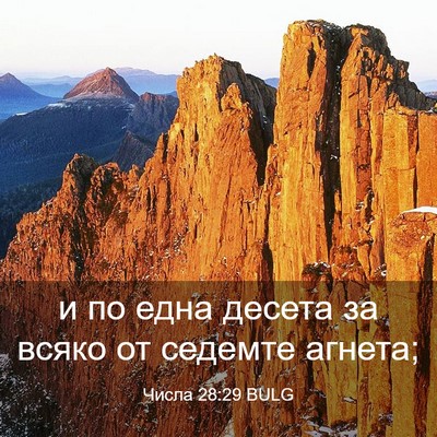 Picture 03 - Числа 28:29 BULG - и по една десета за всяко - Bible Verse Picture