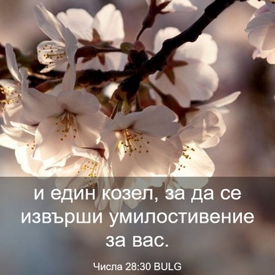 Picture 03 - Числа 28:30 BULG - и един козел, за да се - Bible Verse Picture