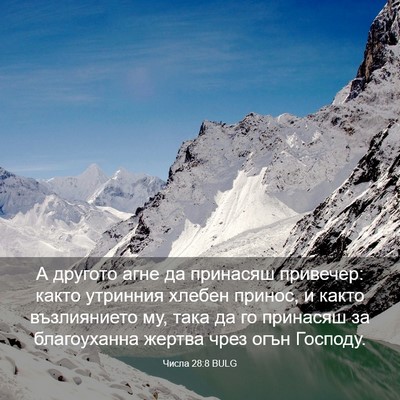 Picture 03 - Числа 28:8 BULG - А другото агне да принасяш - Bible Verse Picture