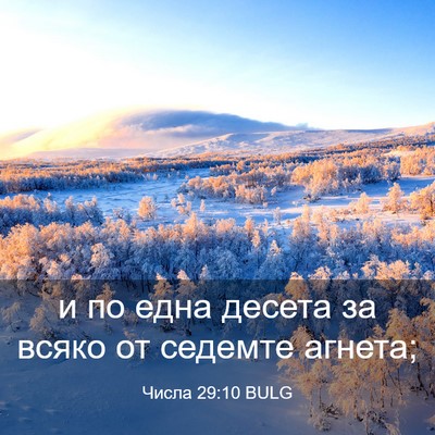 Picture 03 - Числа 29:10 BULG - и по една десета за всяко - Bible Verse Picture