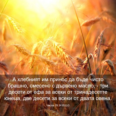 Picture 03 - Числа 29:14 BULG - А хлебният им принос да - Bible Verse Picture